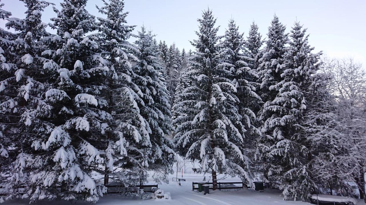Am Kaltenbach - Spital Am Semmering, Stuhleck Dış mekan fotoğraf