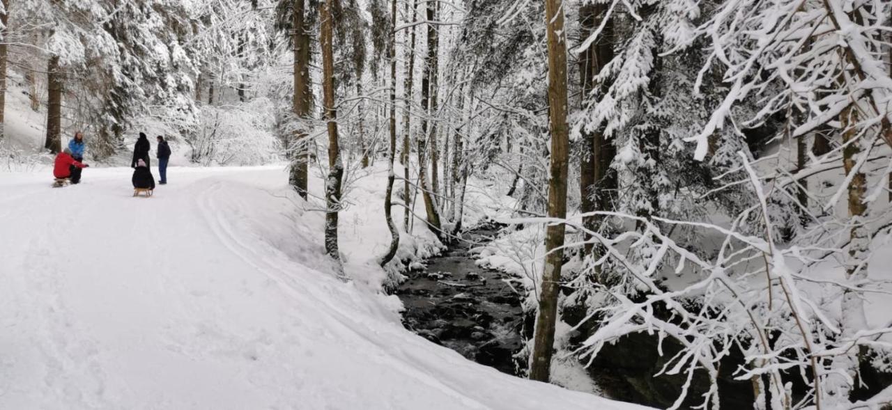 Am Kaltenbach - Spital Am Semmering, Stuhleck Dış mekan fotoğraf